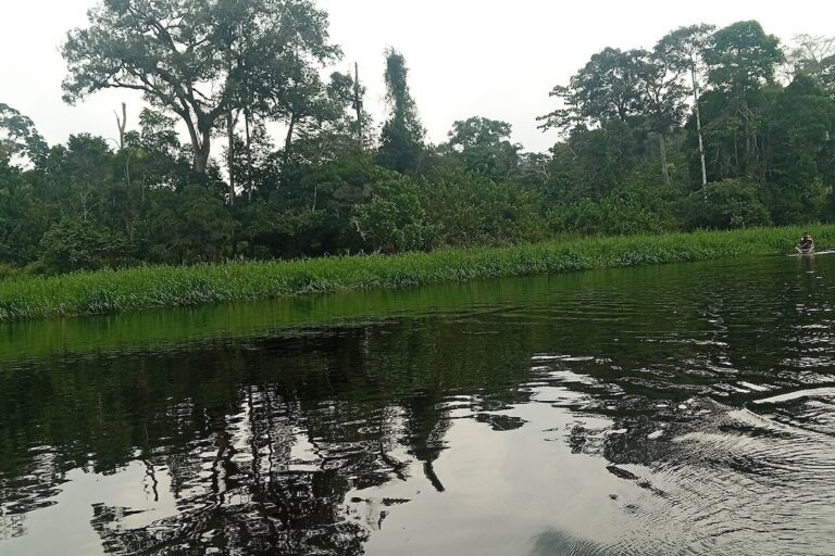 2048px-Fleuve_Nyong_4_-_Mbalmyo-768×512